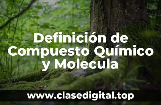 Definición de Compuesto Químico y Molecula