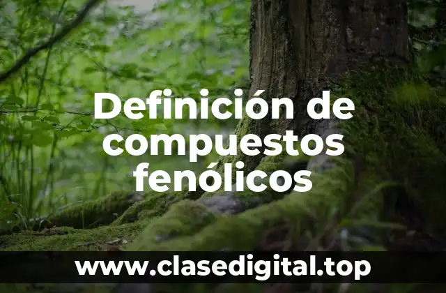 Definición de compuestos fenólicos