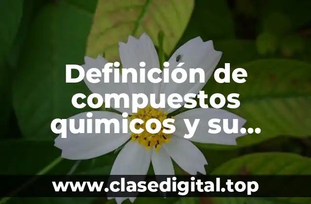 Ejemplos de compuestos químicos y su molécula
