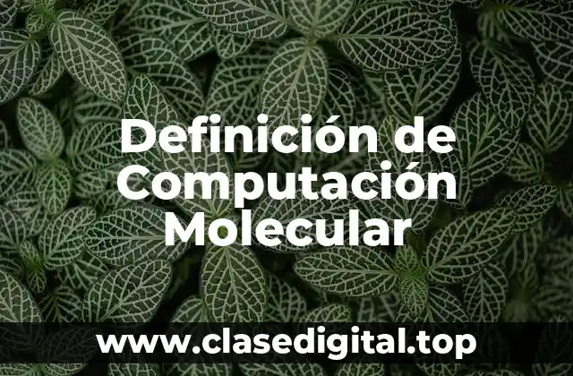 Definición de Computación Molecular