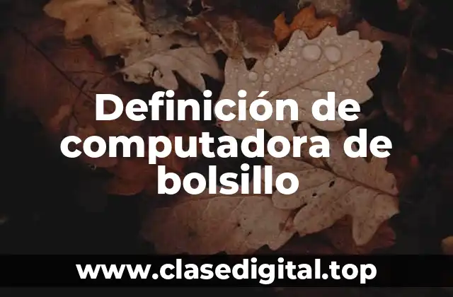 Definición de computadora de bolsillo