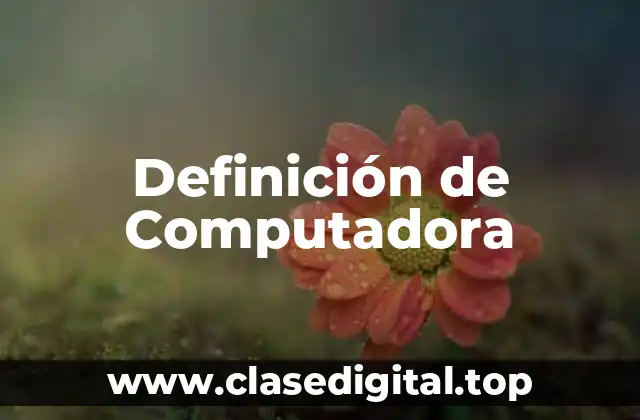 Definición de Computadora