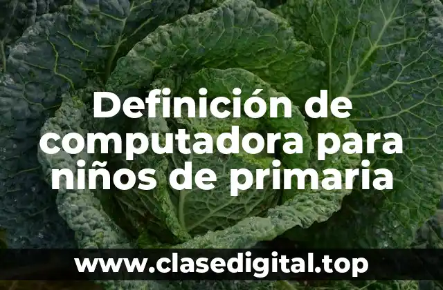 Definición de computadora para niños de primaria
