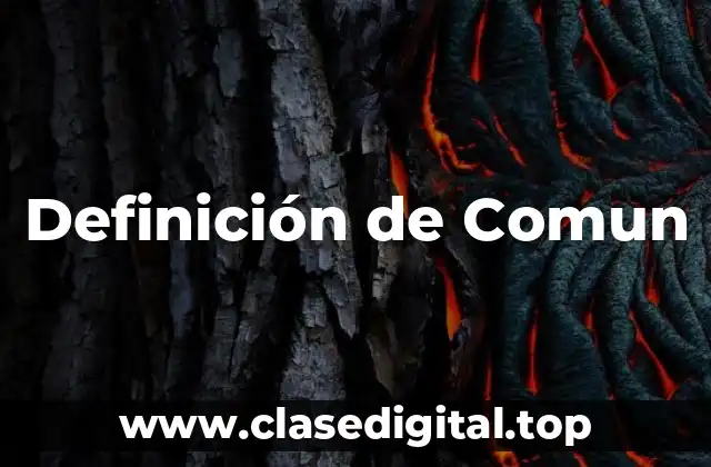 Definición técnica de Comun