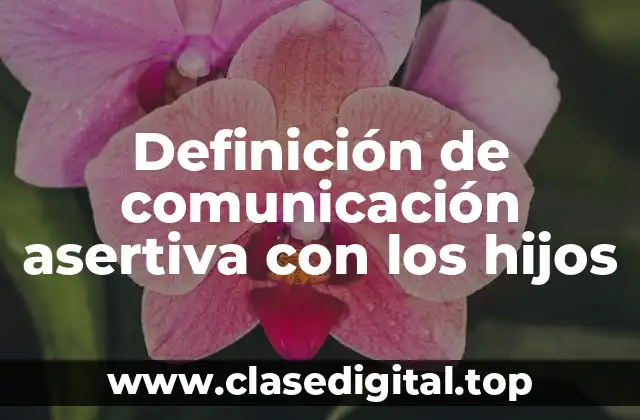 Definición de comunicación asertiva con los hijos