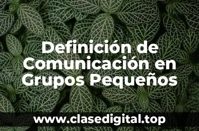 Definición de Comunicación en Grupos Pequeños
