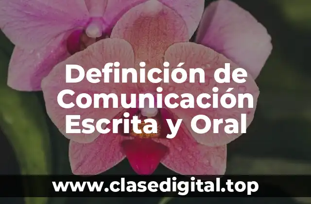 Definición Técnica de Comunicación Escrita y Oral