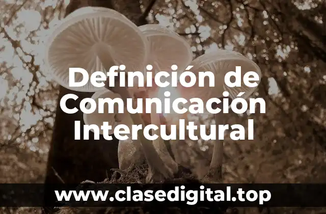 Definición de Comunicación Intercultural