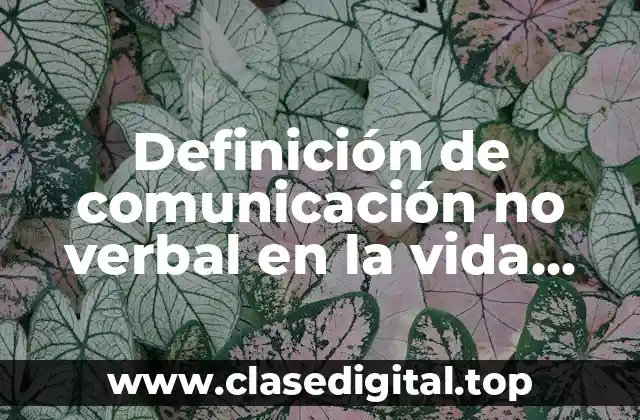 Definición de comunicación no verbal en la vida cotidiana