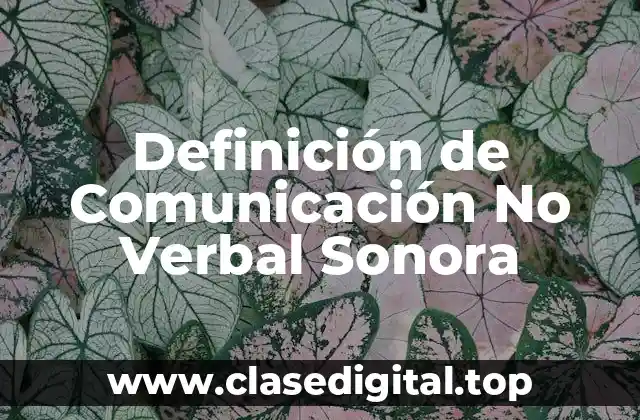 Definición de Comunicación No Verbal Sonora