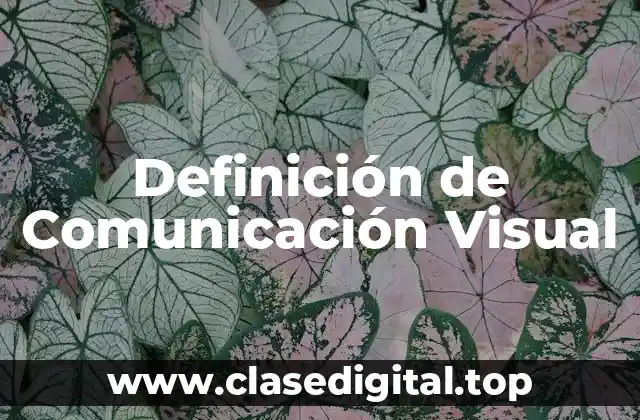 Definición de Comunicación Visual