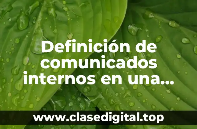 Definición de comunicados internos en una empresa