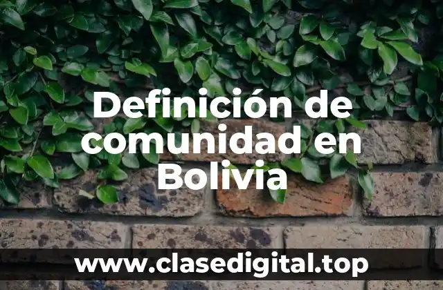 Definición de comunidad en Bolivia