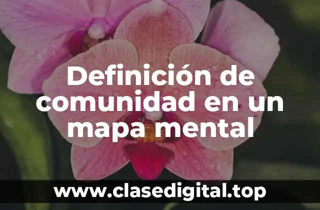 Definición de comunidad en un mapa mental
