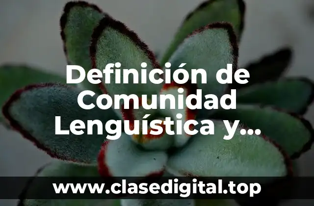 Definición de Comunidad Lenguística y Cultural