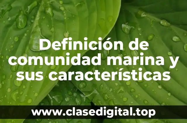 Definición de comunidad marina y sus características
