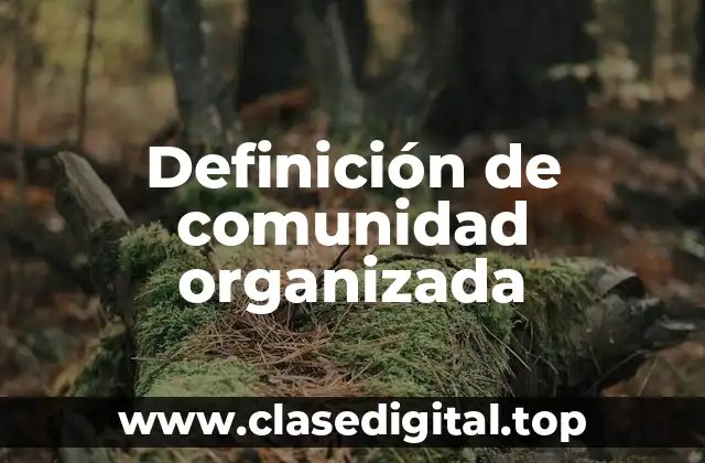 Definición de comunidad organizada