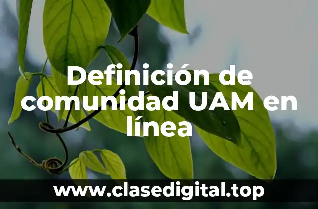 Definición de comunidad UAM en línea