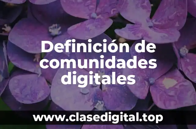 Definición de comunidades digitales