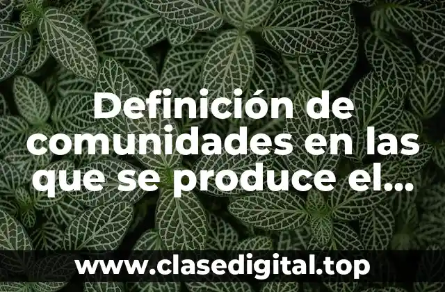 Definición de comunidades en las que se produce el bilinguismo