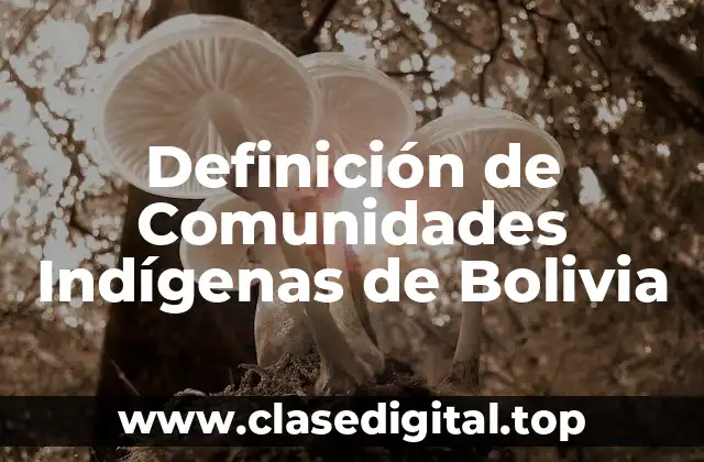 Definición de Comunidades Indígenas de Bolivia