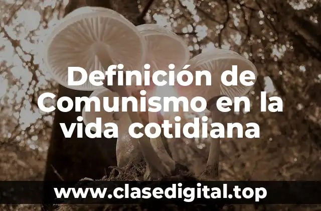 Definición de Comunismo en la vida cotidiana