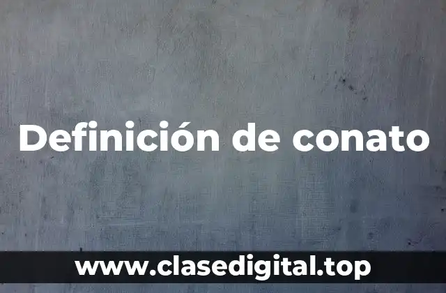 Definición de conato