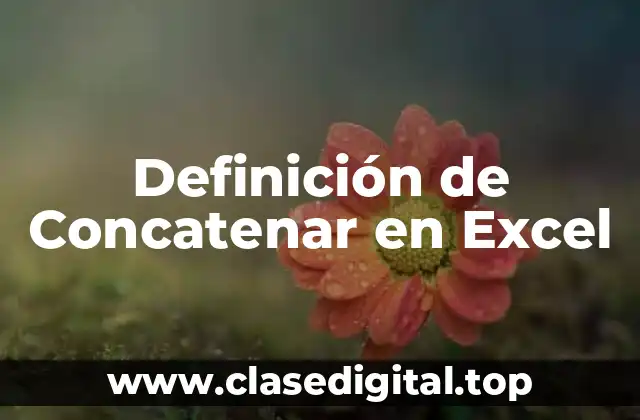 Definición técnica de Concatenar en Excel