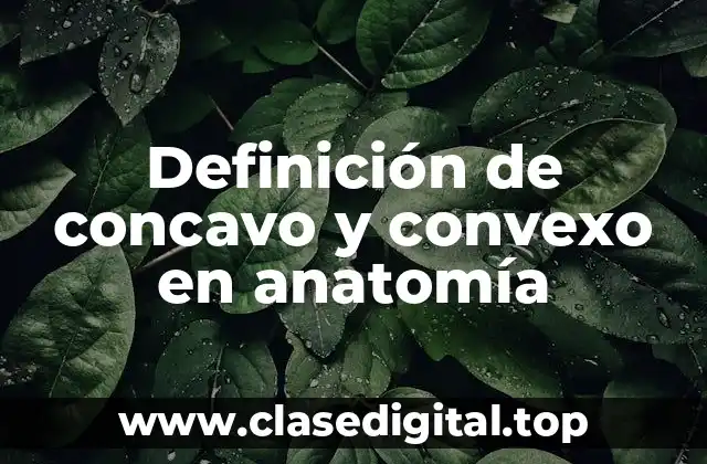 Definición de concavo y convexo en anatomía
