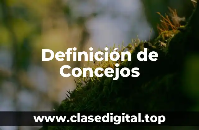 Definición de Concejos