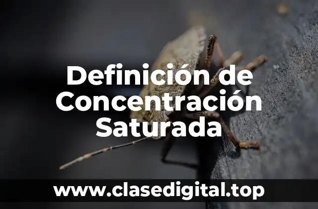 Ejemplos de Concentración Saturada