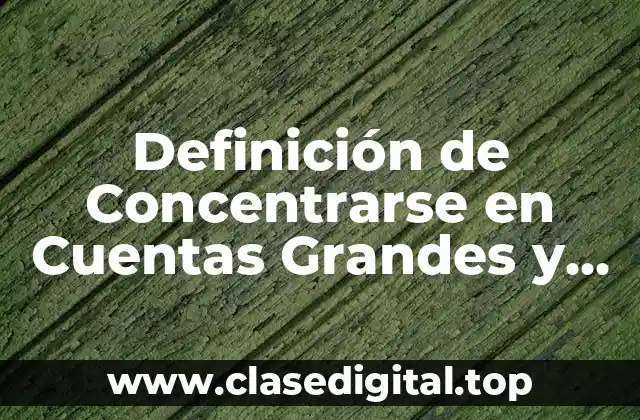 Definición de Concentrarse en Cuentas Grandes y Dudosas