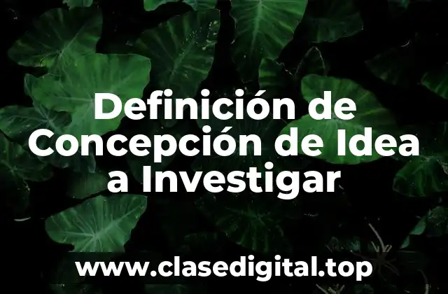 Definición de Concepción de Idea a Investigar