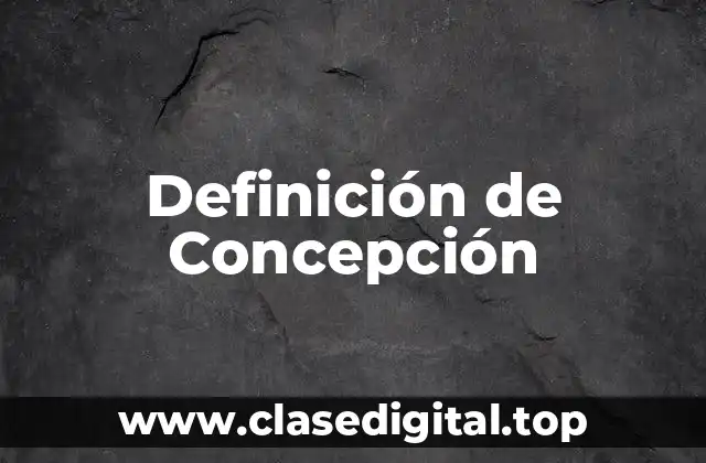 Definición técnica de Concepción