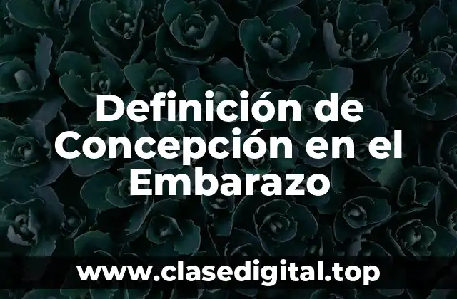 Definición de Concepción en el Embarazo