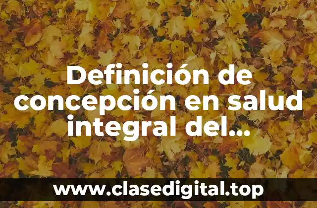 Definición de concepción en salud integral del adolescente