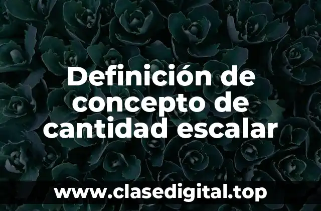 Definición de concepto de cantidad escalar