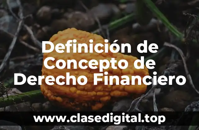 Definición de Concepto de Derecho Financiero