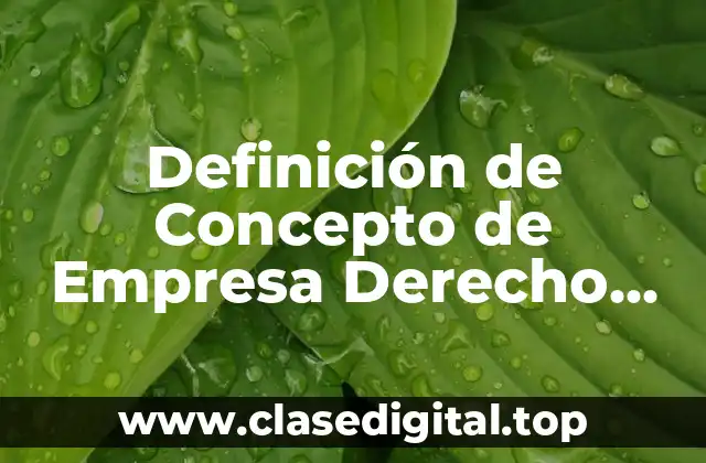 Definición de Concepto de Empresa Derecho Mercantil