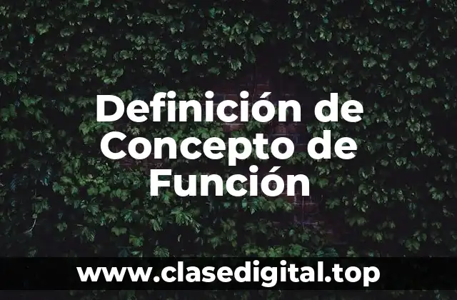 Definición de Concepto de Función