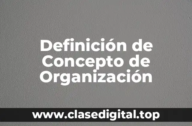Definición de Concepto de Organización