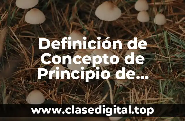 Definición de Concepto de Principio de Sustentabilidad