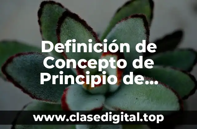 Definición técnica del Principio de Sustentabilidad