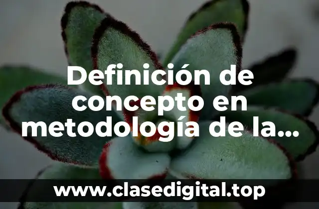 Definición de concepto en metodología de la investigación jurídica