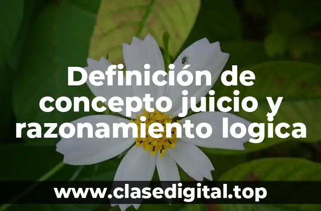 Definición de concepto juicio y razonamiento logica