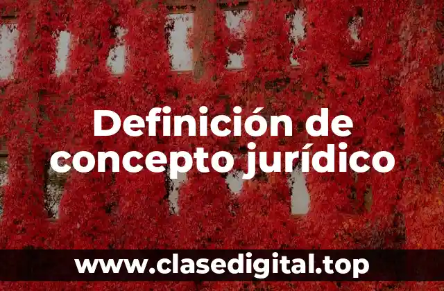 Ejemplos de conceptos jurídicos