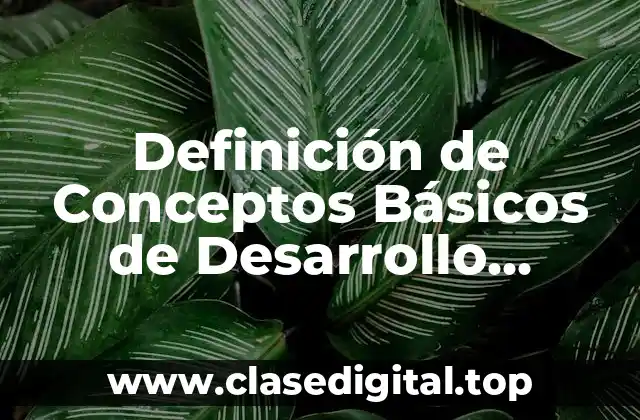 Definición Técnica de Desarrollo Organizacional