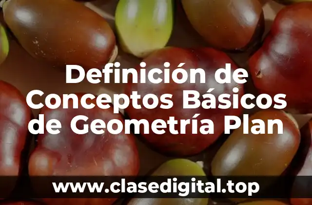 Definición Técnica de Geometría Plana
