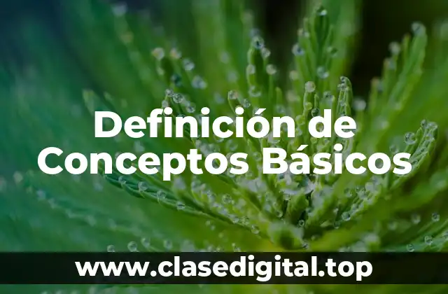 Definición técnica de Conceptos Básicos