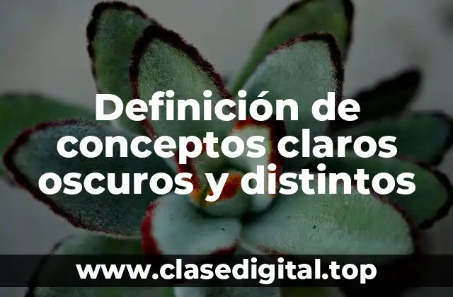 Definición de conceptos claros oscuros y distintos